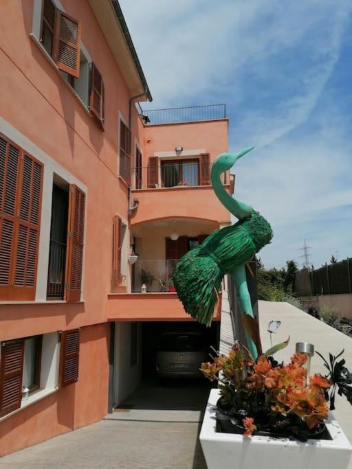 Ecological Palma